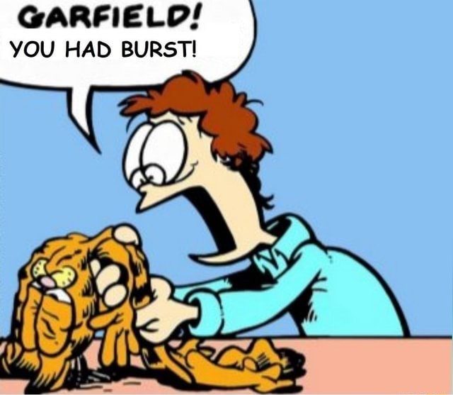 Garfield! You had burst! Blank Meme Template