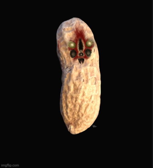 NUT | image tagged in scp-173 | made w/ Imgflip meme maker