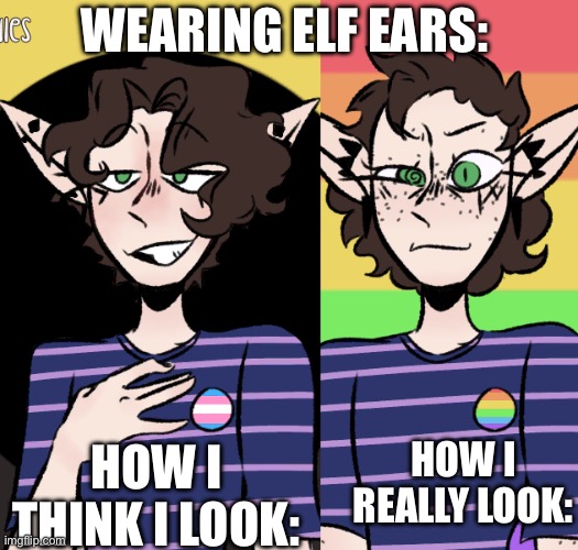 *cry* | WEARING ELF EARS:; HOW I THINK I LOOK:; HOW I REALLY LOOK: | image tagged in kill me now | made w/ Imgflip meme maker
