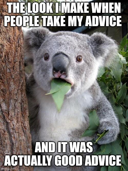 My advice | THE LOOK I MAKE WHEN PEOPLE TAKE MY ADVICE; AND IT WAS ACTUALLY GOOD ADVICE | image tagged in memes,surprised koala | made w/ Imgflip meme maker