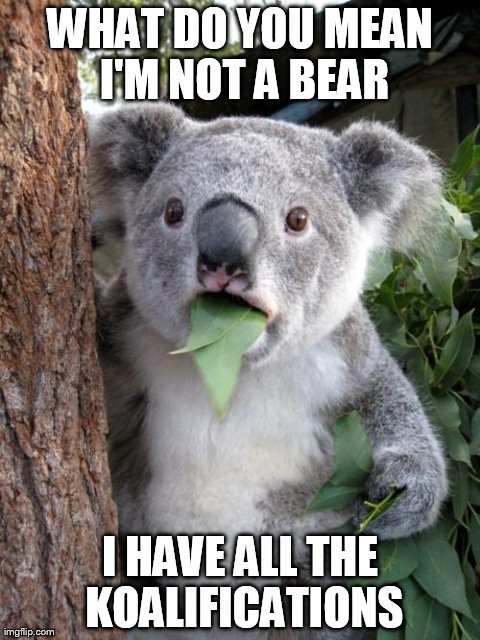 Surprised Koala | WHAT DO YOU MEAN I'M NOT A BEAR I HAVE ALL THE KOALIFICATIONS | image tagged in memes,surprised koala | made w/ Imgflip meme maker