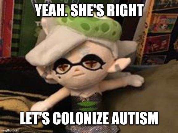 YEAH. SHE'S RIGHT LET'S COLONIZE AUTISM | image tagged in marie plush template | made w/ Imgflip meme maker