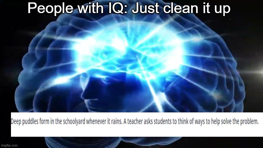 iq | People with IQ: Just clean it up | image tagged in but you didn't have to cut me off | made w/ Imgflip meme maker