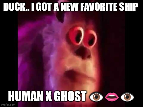 Sully Groan | DUCK.. I GOT A NEW FAVORITE SHIP; HUMAN X GHOST 👁👄👁 | image tagged in sully groan | made w/ Imgflip meme maker