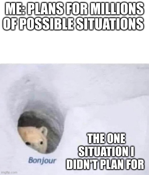 Bonjour | ME: PLANS FOR MILLIONS OF POSSIBLE SITUATIONS; THE ONE SITUATION I DIDN'T PLAN FOR | image tagged in bonjour | made w/ Imgflip meme maker