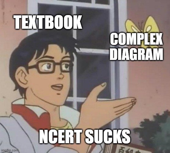 NCERT is a bad edu-org | TEXTBOOK; COMPLEX DIAGRAM; NCERT SUCKS | image tagged in memes,is this a pigeon,ncert | made w/ Imgflip meme maker