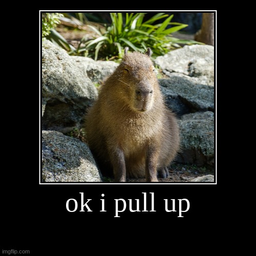 thought i might say hi | ok i pull up | | image tagged in ok i pull up | made w/ Imgflip demotivational maker