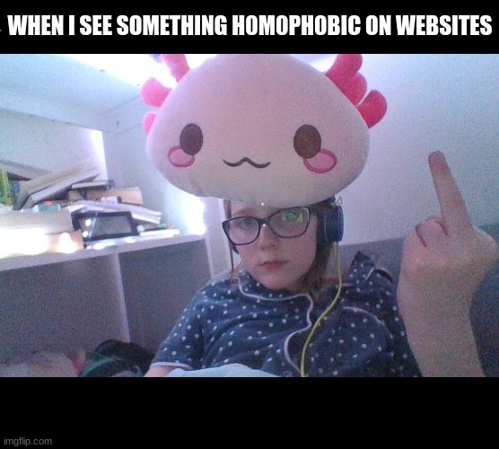 WHEN I SEE SOMETHING H0M0PH0BIC ON WEBSITES | made w/ Imgflip meme maker