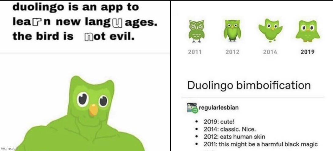 DONT MESS WITH DUO | image tagged in duolingo,dontmesswithduo | made w/ Imgflip meme maker