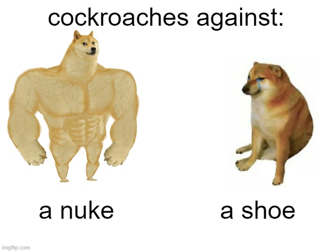 Buff Doge vs. Cheems Meme | cockroaches against:; a nuke; a shoe | image tagged in memes,buff doge vs cheems | made w/ Imgflip meme maker