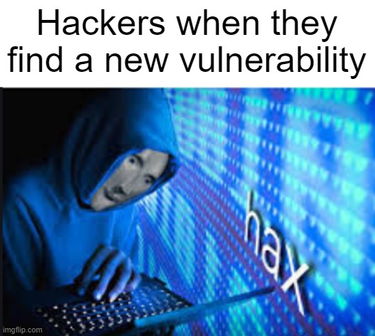 This is absolutely true | Hackers when they find a new vulnerability | image tagged in hax,hackerman,can't argue with that / technically not wrong | made w/ Imgflip meme maker