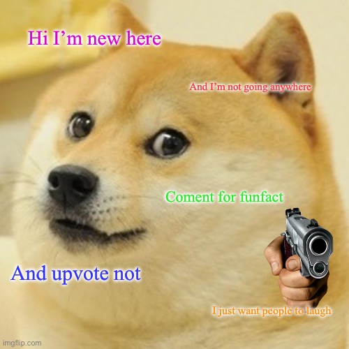 Hi guys! | Hi I’m new here; And I’m not going anywhere; Coment for funfact; And upvote not; I just want people to laugh | image tagged in memes,doge | made w/ Imgflip meme maker