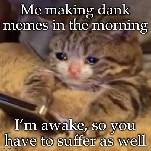 Kitty memer | Me making dank memes in the morning; I’m awake, so you have to suffer as well | image tagged in crying cat on phone,dank memes,morning,suffering | made w/ Imgflip meme maker