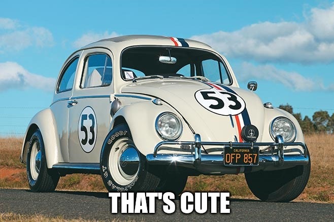 Herbie | THAT'S CUTE | image tagged in herbie | made w/ Imgflip meme maker