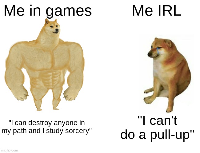 Me in games vs me IRL | Me in games; Me IRL; "I can destroy anyone in my path and I study sorcery"; "I can't do a pull-up" | image tagged in memes,buff doge vs cheems | made w/ Imgflip meme maker