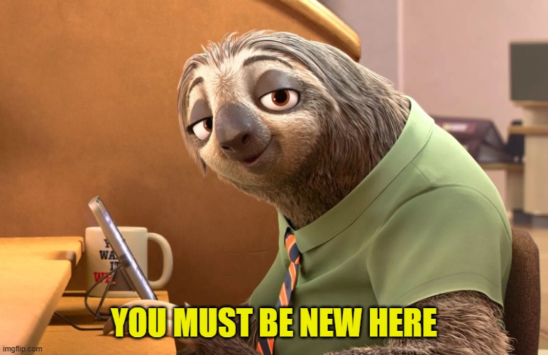 You must be new around here | YOU MUST BE NEW HERE | image tagged in you must be new around here | made w/ Imgflip meme maker
