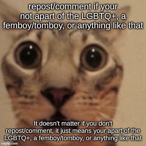 I don't care if you are one of those | made w/ Imgflip meme maker