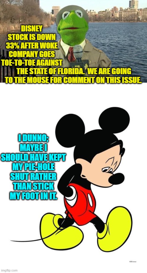 Pssssst . . . Disney; Get WOKE and Go Broke. | DISNEY STOCK IS DOWN 33% AFTER WOKE COMPANY GOES TOE-TO-TOE AGAINST; THE STATE OF FLORIDA.  WE ARE GOING TO THE MOUSE FOR COMMENT ON THIS ISSUE. I DUNNO; MAYBE I SHOULD HAVE KEPT MY PIE-HOLE SHUT RATHER THAN STICK MY FOOT IN IT. | image tagged in kermit news report | made w/ Imgflip meme maker