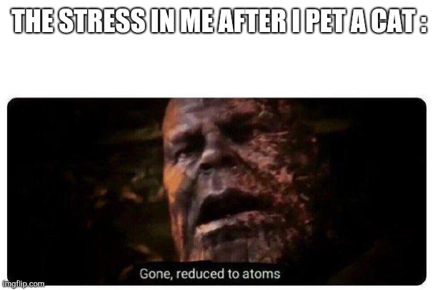 Image Title | THE STRESS IN ME AFTER I PET A CAT : | image tagged in gone reduced to atoms | made w/ Imgflip meme maker