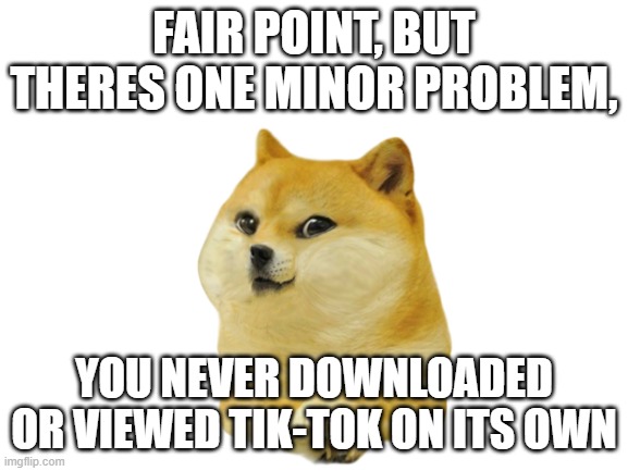 FAIR POINT, BUT THERES ONE MINOR PROBLEM, YOU NEVER DOWNLOADED OR VIEWED TIK-TOK ON ITS OWN | made w/ Imgflip meme maker