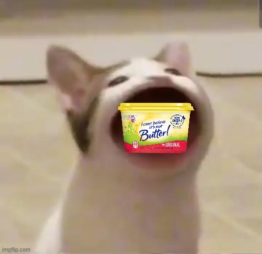 Pop Cat | image tagged in pop cat | made w/ Imgflip meme maker