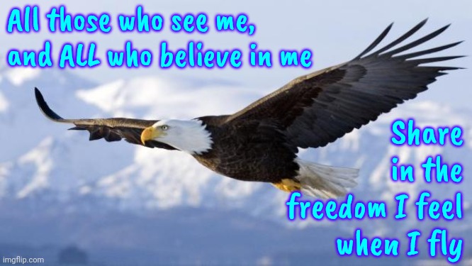 John Denver Was A GENIUS | All those who see me, and ALL who believe in me; Share in the freedom I feel when I fly | image tagged in eagle,john denver,genius,brilliant,when your sad you understand the lyrics,memes | made w/ Imgflip meme maker