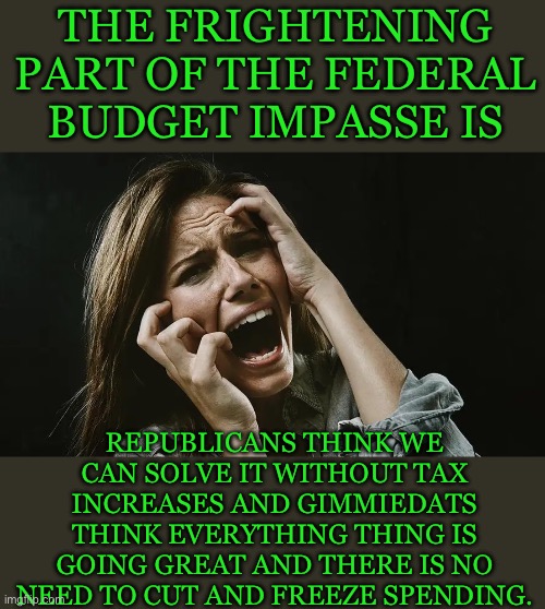 They both suck | THE FRIGHTENING PART OF THE FEDERAL BUDGET IMPASSE IS; REPUBLICANS THINK WE CAN SOLVE IT WITHOUT TAX INCREASES AND GIMMIEDATS THINK EVERYTHING THING IS GOING GREAT AND THERE IS NO NEED TO CUT AND FREEZE SPENDING. | image tagged in washington dc | made w/ Imgflip meme maker