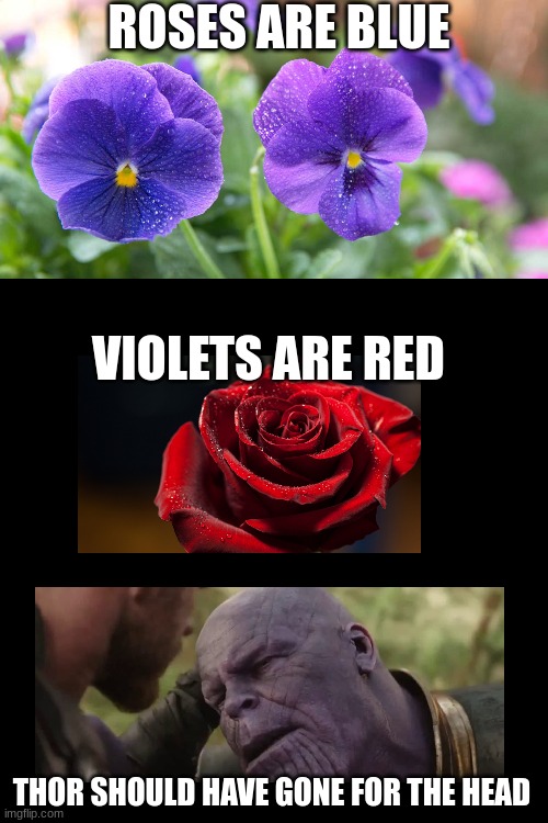Im a rapper | ROSES ARE BLUE; VIOLETS ARE RED; THOR SHOULD HAVE GONE FOR THE HEAD | image tagged in roses are red violets are blue | made w/ Imgflip meme maker