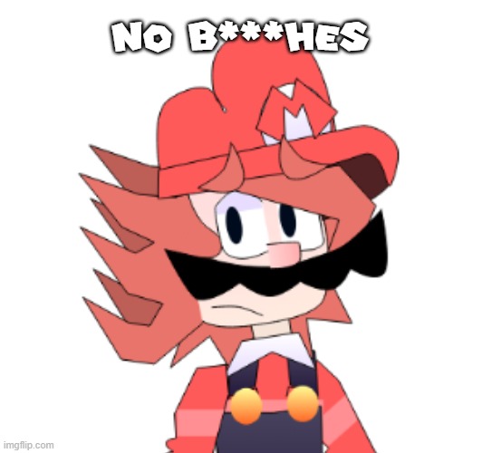 Super Mario Superstars: The Movie - No Bi*ches? | NO B***HES | image tagged in mario,undertale,no bitches,movies | made w/ Imgflip meme maker