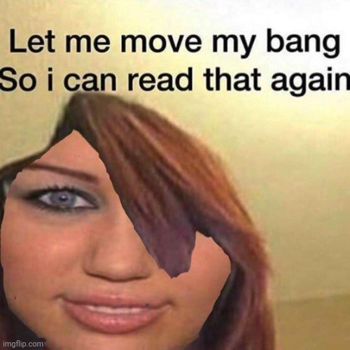 made w/ Imgflip meme maker