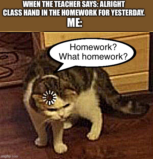 You didn’t assign any! | WHEN THE TEACHER SAYS: ALRIGHT CLASS HAND IN THE HOMEWORK FOR YESTERDAY. ME:; Homework? What homework? | image tagged in loading cat,school,cats,funny,memes | made w/ Imgflip meme maker