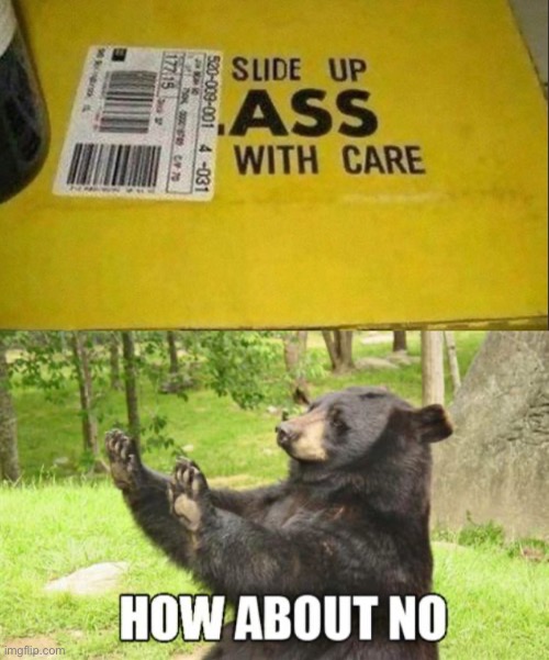 image tagged in memes,how about no bear | made w/ Imgflip meme maker
