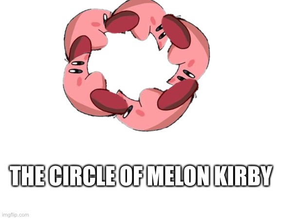 The circle of melon kirb | THE CIRCLE OF MELON KIRBY | made w/ Imgflip meme maker