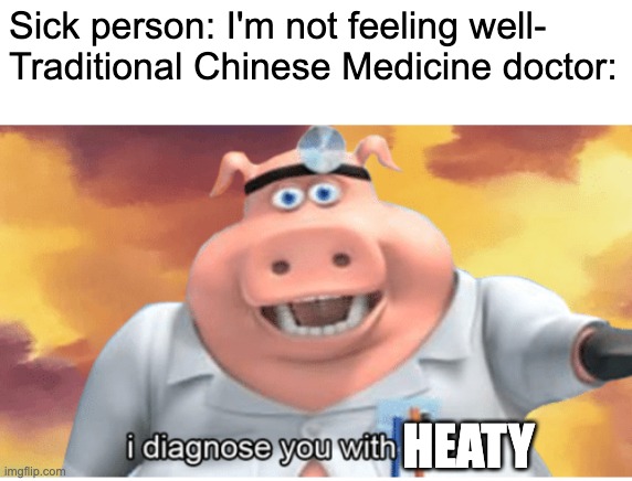 This term is generally used for pretty much everything, I've diagnosed ppl with that b4 | Sick person: I'm not feeling well-
Traditional Chinese Medicine doctor:; HEATY | image tagged in i diagnose you with dead,heaty,chinese,fail,smort,so you have chosen death | made w/ Imgflip meme maker