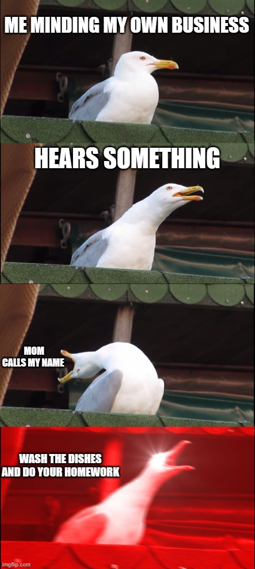 Daily Meme#2 | ME MINDING MY OWN BUSINESS; HEARS SOMETHING; MOM CALLS MY NAME; WASH THE DISHES AND DO YOUR HOMEWORK | image tagged in memes,inhaling seagull | made w/ Imgflip meme maker