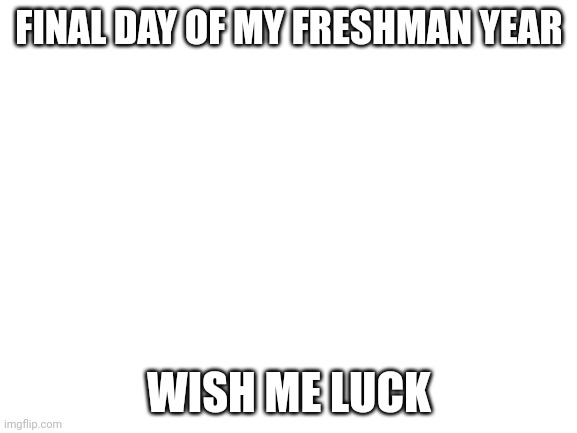 thats it then. | FINAL DAY OF MY FRESHMAN YEAR; WISH ME LUCK | image tagged in blank white template | made w/ Imgflip meme maker