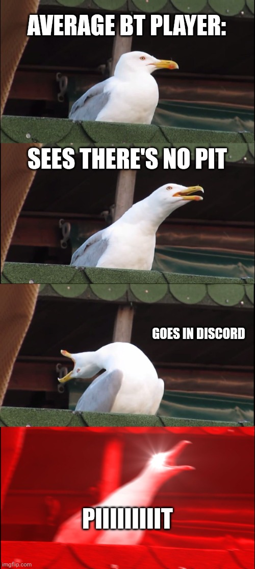Inhaling Seagull | AVERAGE BT PLAYER:; SEES THERE'S NO PIT; GOES IN DISCORD; PIIIIIIIIIT | image tagged in memes,inhaling seagull | made w/ Imgflip meme maker