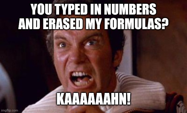 Excel anger | YOU TYPED IN NUMBERS AND ERASED MY FORMULAS? KAAAAAAHN! | image tagged in khan | made w/ Imgflip meme maker