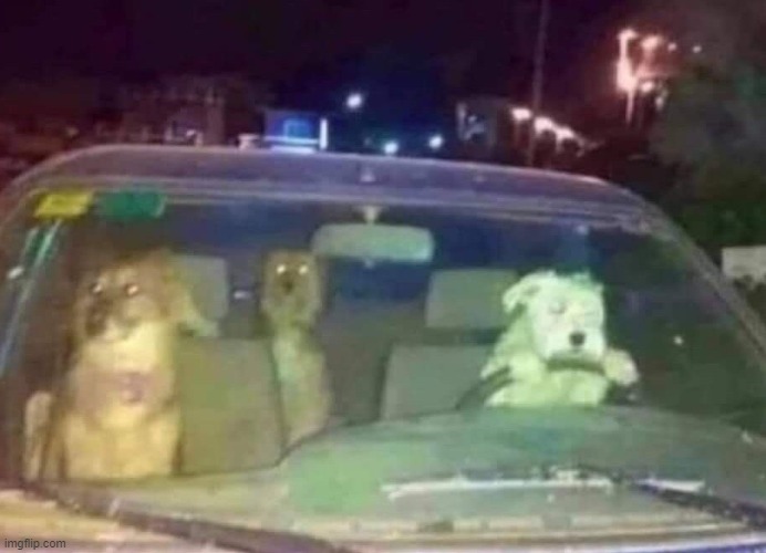 image tagged in horror | made w/ Imgflip meme maker