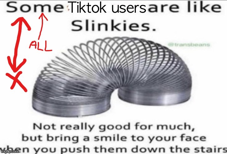 I HATE Tiktok | image tagged in memes,tiktok sucks | made w/ Imgflip meme maker