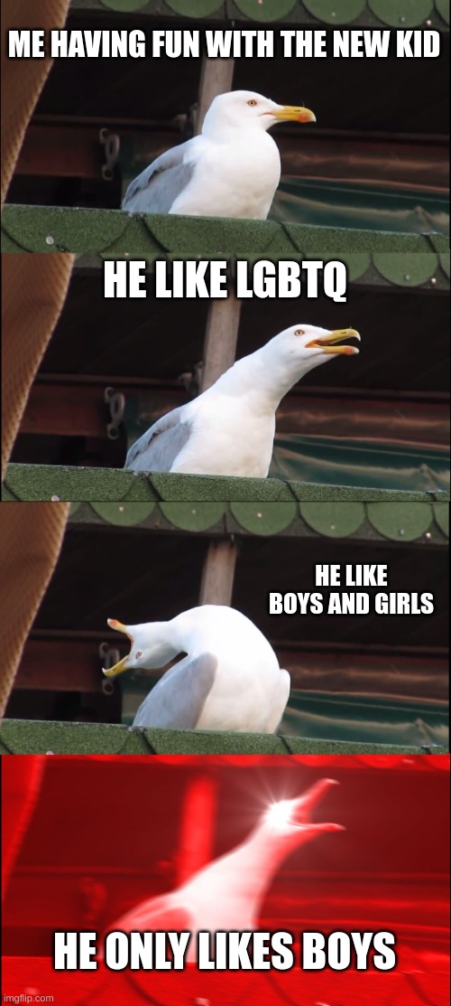 lgbtq | ME HAVING FUN WITH THE NEW KID; HE LIKE LGBTQ; HE LIKE BOYS AND GIRLS; HE ONLY LIKES BOYS | image tagged in memes,inhaling seagull | made w/ Imgflip meme maker