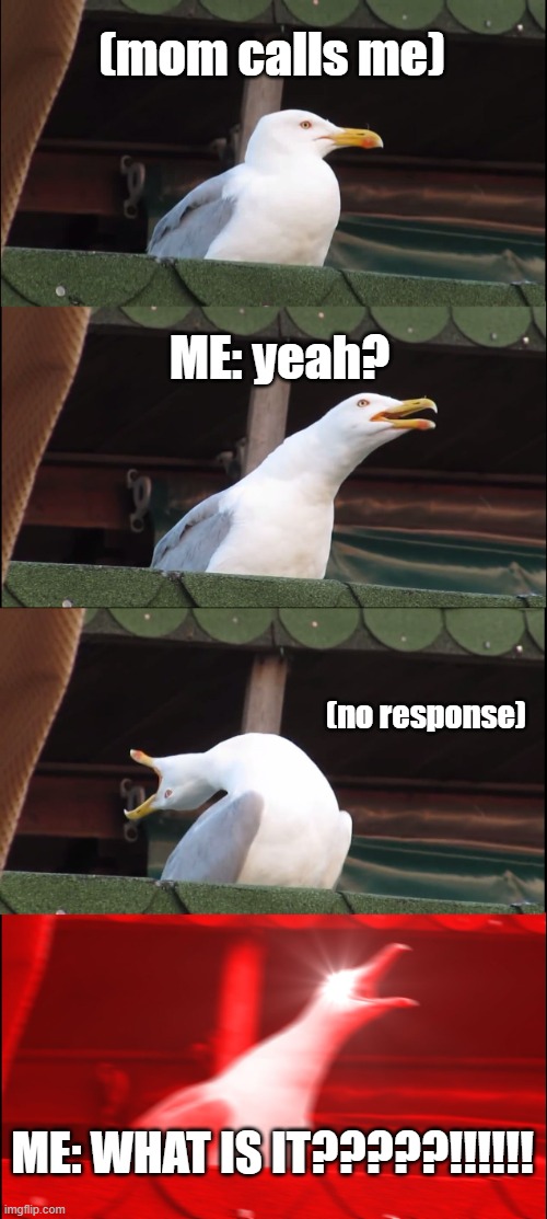 The Seagull is Calling | (mom calls me); ME: yeah? (no response); ME: WHAT IS IT?????!!!!!! | image tagged in memes,inhaling seagull | made w/ Imgflip meme maker