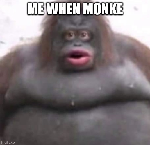 Le Monke | ME WHEN MONKE | image tagged in le monke | made w/ Imgflip meme maker