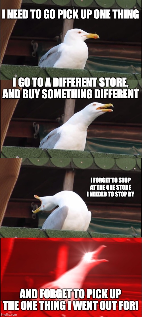 This literally happened a couple days ago! | I NEED TO GO PICK UP ONE THING; I GO TO A DIFFERENT STORE, AND BUY SOMETHING DIFFERENT; I FORGET TO STOP AT THE ONE STORE I NEEDED TO STOP BY; AND FORGET TO PICK UP THE ONE THING I WENT OUT FOR! | image tagged in memes,inhaling seagull,errands | made w/ Imgflip meme maker