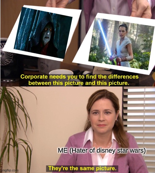 Why is she called skywalker | ME (Hater of disney star wars) | image tagged in memes,they're the same picture,disney killed star wars | made w/ Imgflip meme maker