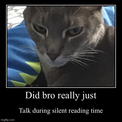 image tagged in cats,funny,memes,reading | made w/ Imgflip meme maker