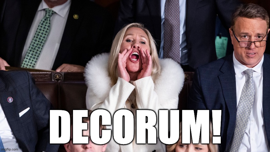 Decorum | DECORUM! | image tagged in mtg,marjorie taylor greene,decorum,irony,hypocrite | made w/ Imgflip meme maker