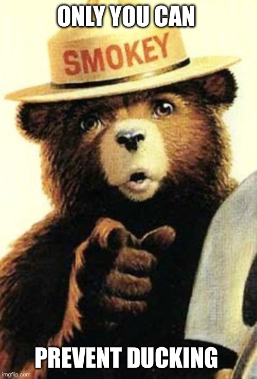 smokey the bear | ONLY YOU CAN; PREVENT DUCKING | image tagged in smokey the bear | made w/ Imgflip meme maker