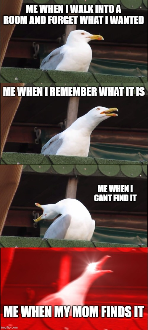 Inhaling Seagull | ME WHEN I WALK INTO A ROOM AND FORGET WHAT I WANTED; ME WHEN I REMEMBER WHAT IT IS; ME WHEN I CANT FIND IT; ME WHEN MY MOM FINDS IT | image tagged in memes,inhaling seagull | made w/ Imgflip meme maker