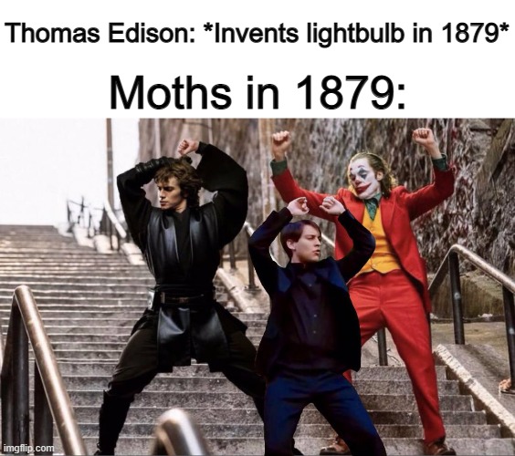 The best historical event for moths XDDD | Thomas Edison: *Invents lightbulb in 1879*; Moths in 1879: | image tagged in the joker peter parker and anakin skywalker dancing | made w/ Imgflip meme maker